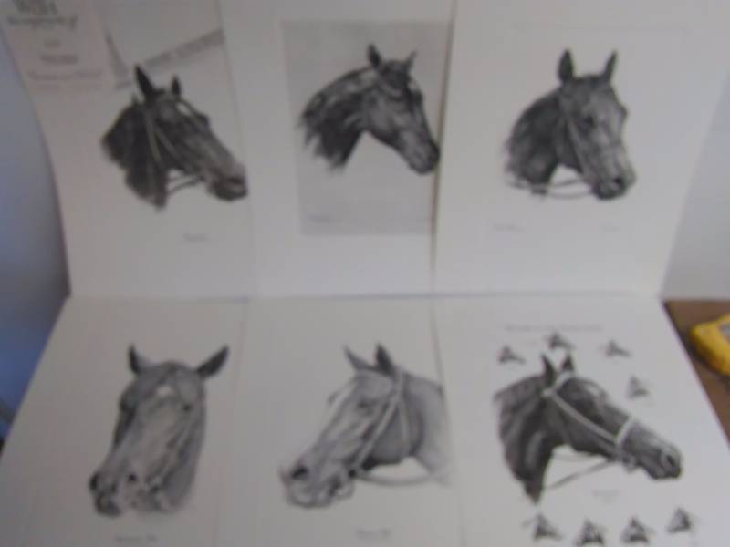 lot 513 image: Horse Prints, (6) each measure 12 x 15