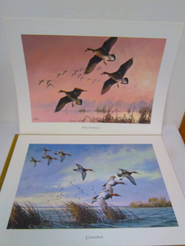 lot 239 image: Vintage Maass Prints Wilderness Wings (2)