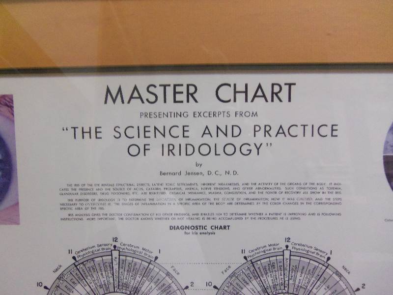 lot 12 image: Framed Medical Master Chart