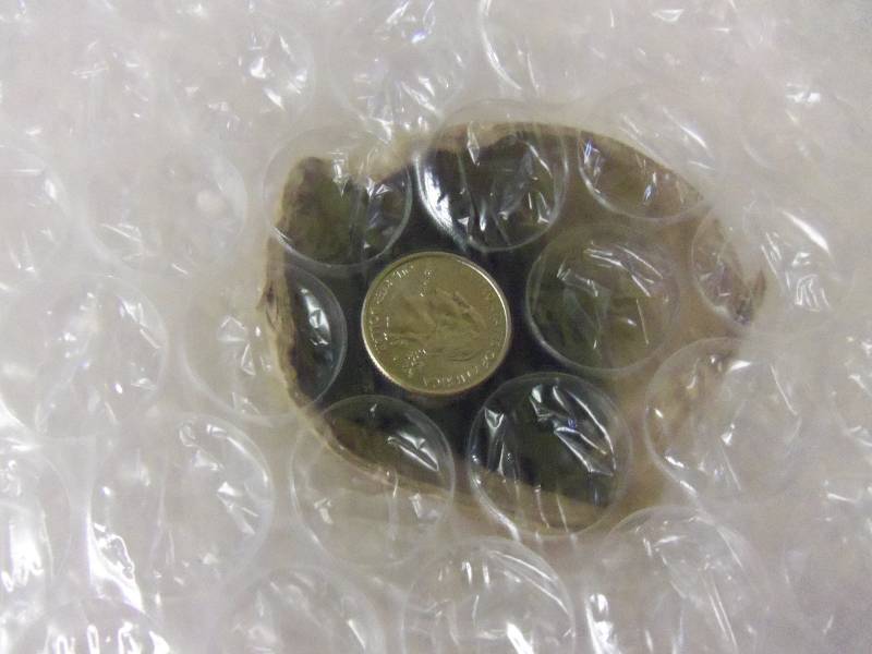 lot 55 image: Large Roll of Bubble Wrap