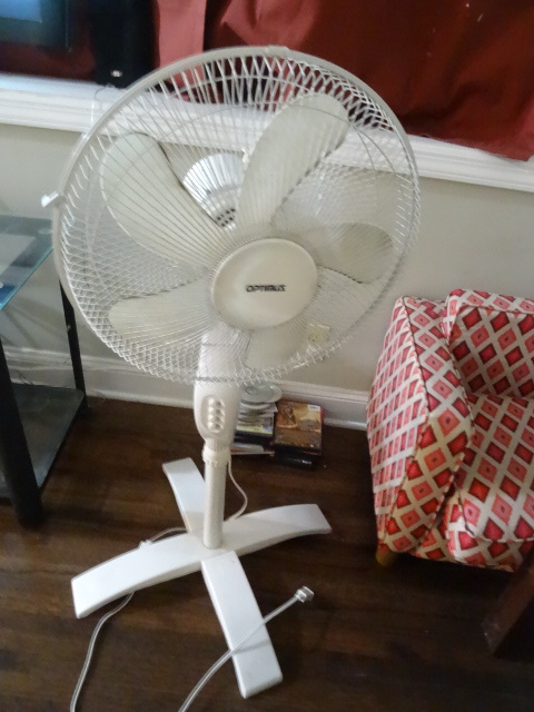 lot 6 image: Optimus 18 pedestal fan. Works