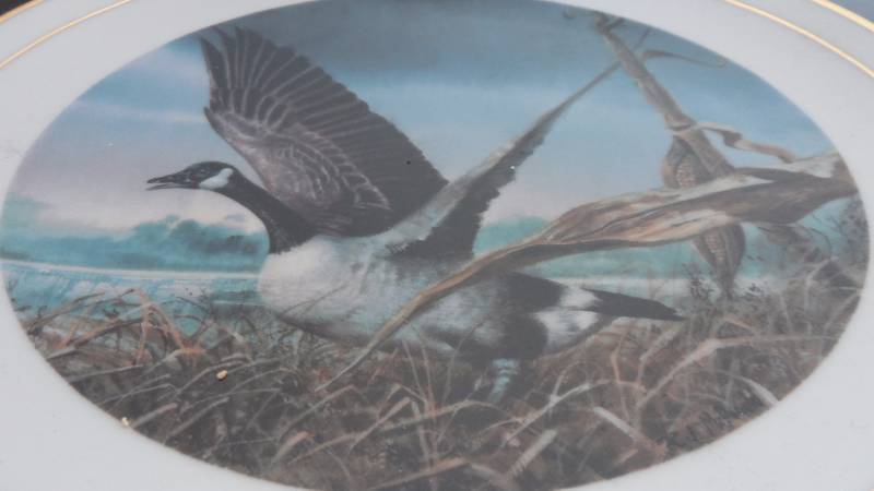 Ducks Unlimited  Ralph McDonald Plate