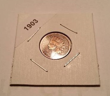 lot 137 image: Lot of (5) Indianhead Pennies - Carded