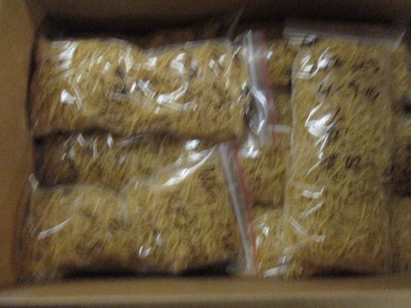 lot 54 image: box full of noodles that say 4-9-16...