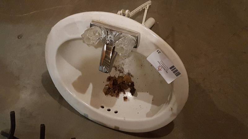 lot 21 image: Porcelain Sink
