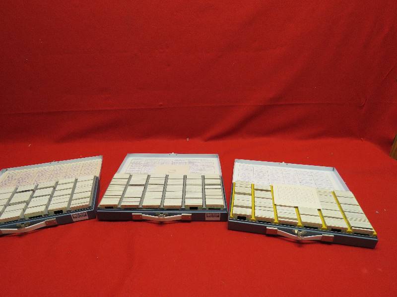 Vintage Slides