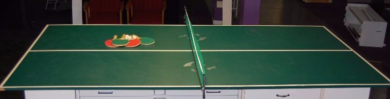 lot 20 image: Ping Pong Table Top