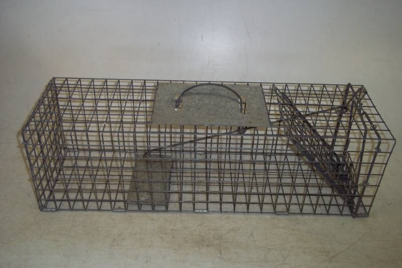 lot 19 image: Live animal trap 24 x 8 x 8