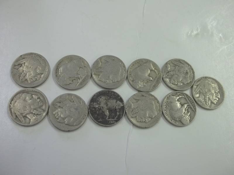 lot 177 image: 11 Buffalo Nickels
