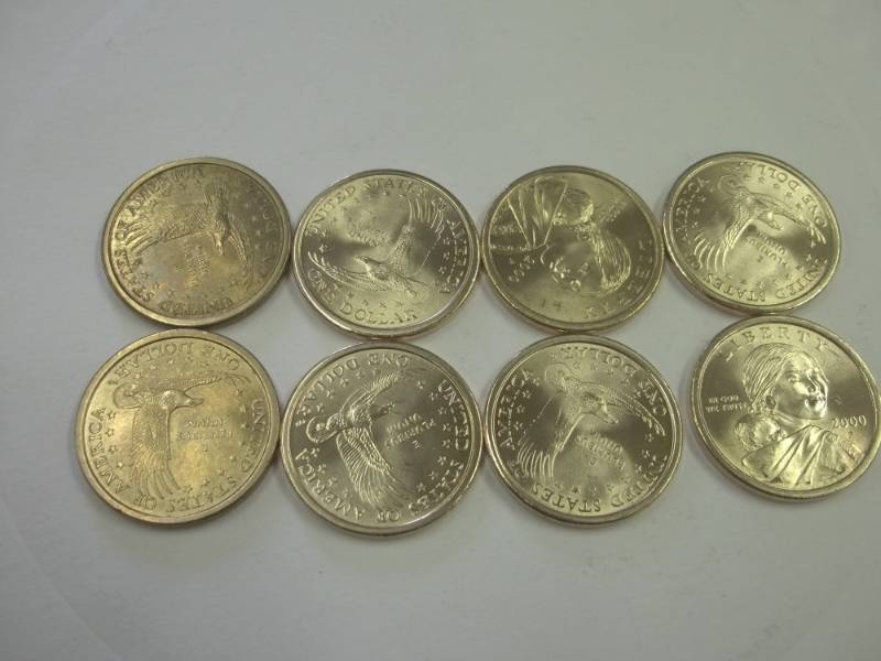 lot 179 image: 8 Sacagawea dollar coins