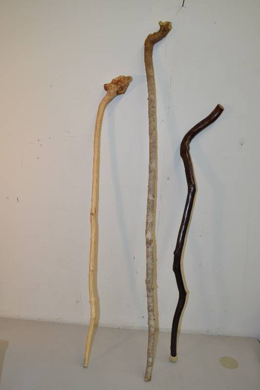 lot 93 image: Canes