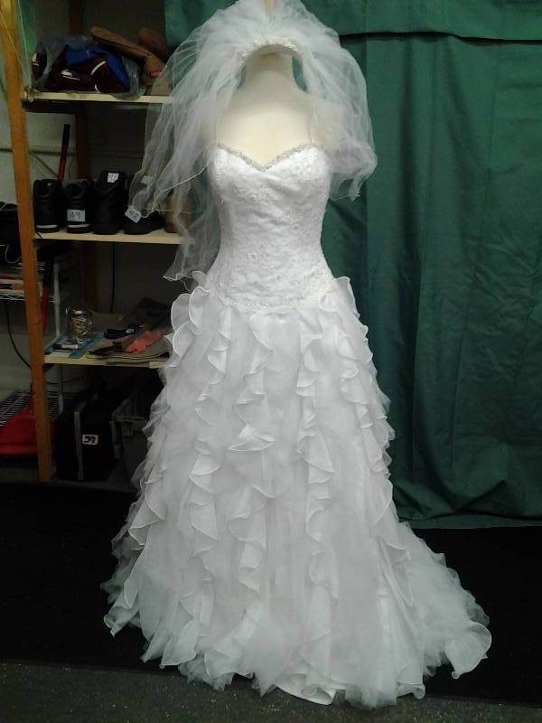 DaVinci With Veil Size 10