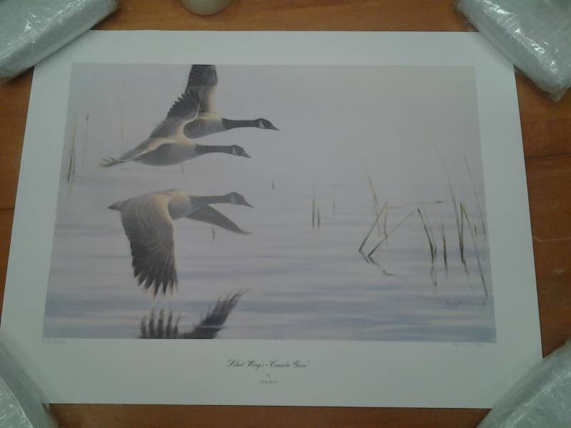 Print Silent Wings Canadian Geese By Gary Moss Signed & Numbered 37373800 28 12 x 22