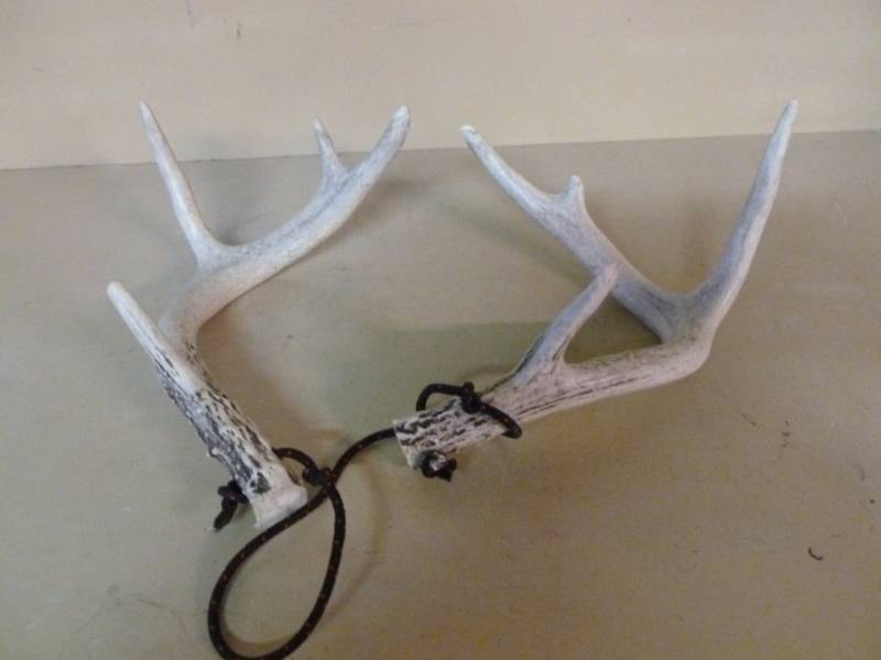 Rattling Antlers