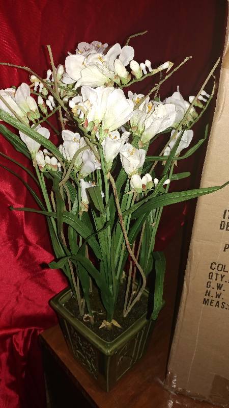 lot 97 image: 3- Freesia with Planter