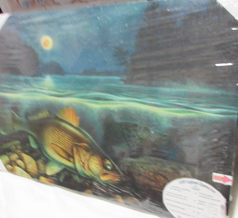 NEW FISH PICTURE.
