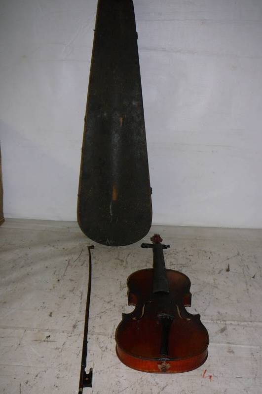 Violin