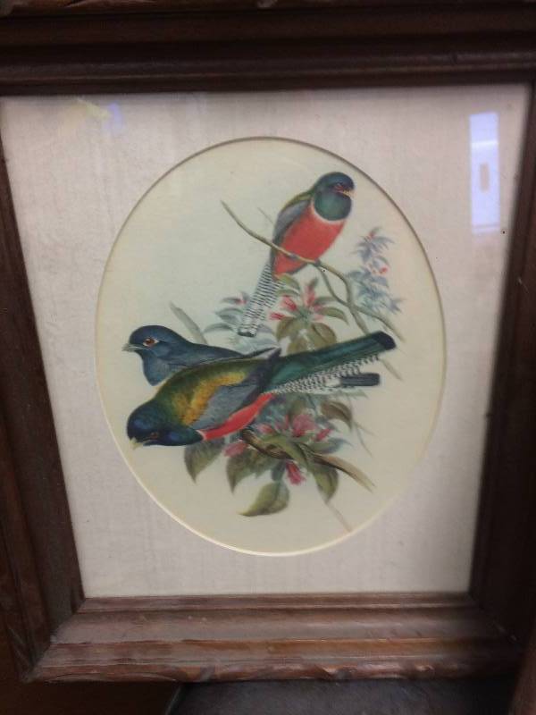 lot 61 image: Bird Prints