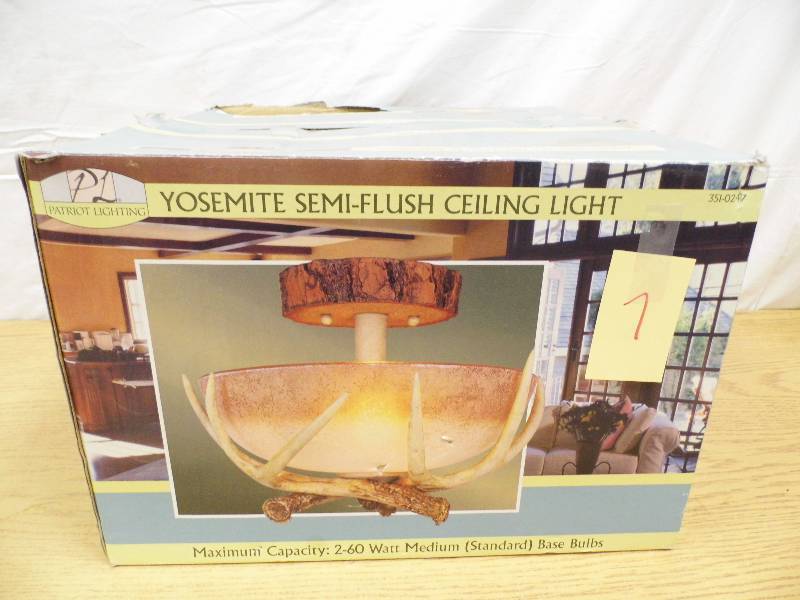 Yosemite Ceiling Light