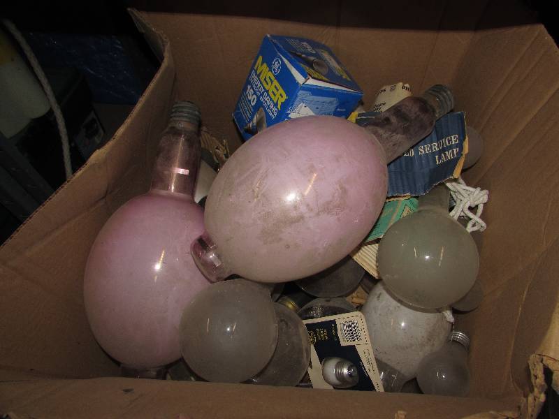 light bulbs