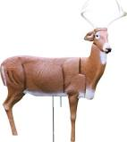 Sportsmans 144