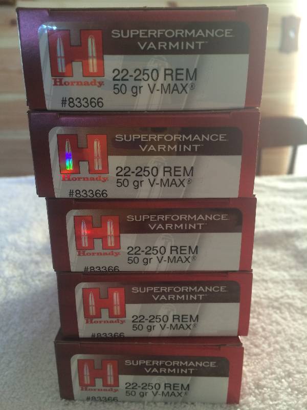 lot 38 image: 22-250 ammo