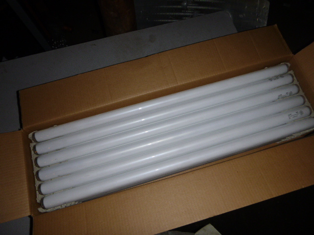 lot 109 image: 25 Fluorescent Light Bulbs