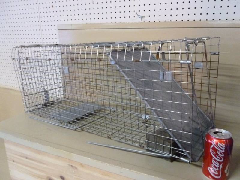 lot 12 image: Live Trap