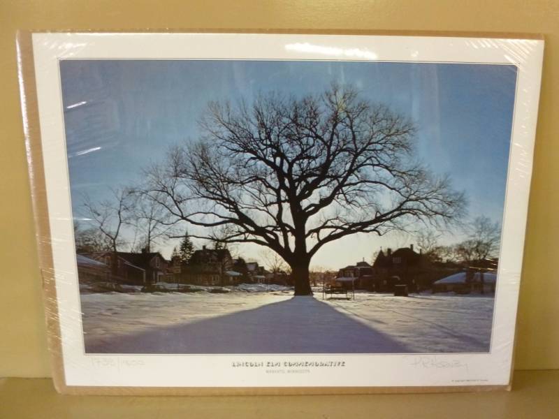 lot 63 image: Picture