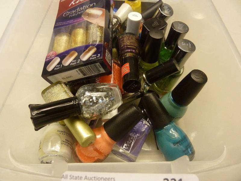 lot 231 image: Nail Polish