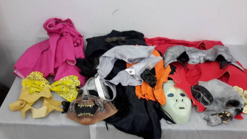 lot 71 image: Costumes and pirates treasure