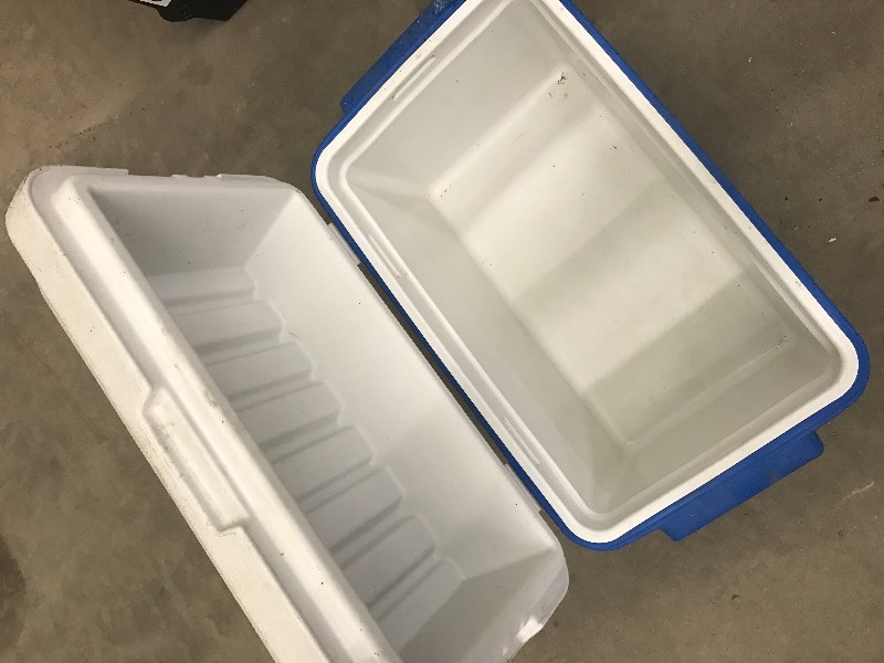 coleman polylite 40 cooler