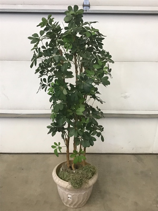 lot 91 image: 5ft Artificial Tree With Pot ...