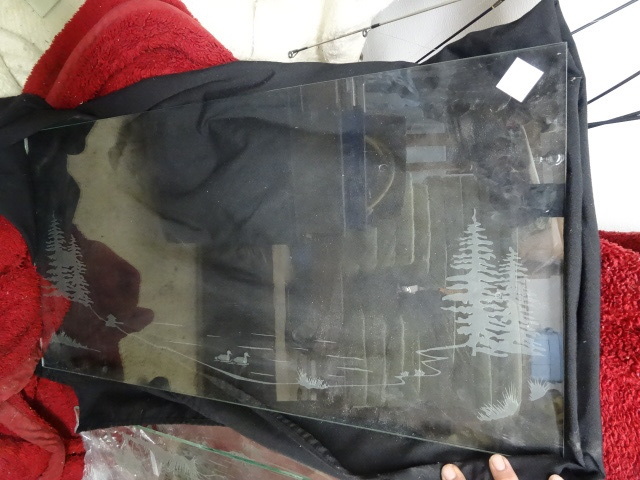 Tempered glass with etched wildlife...