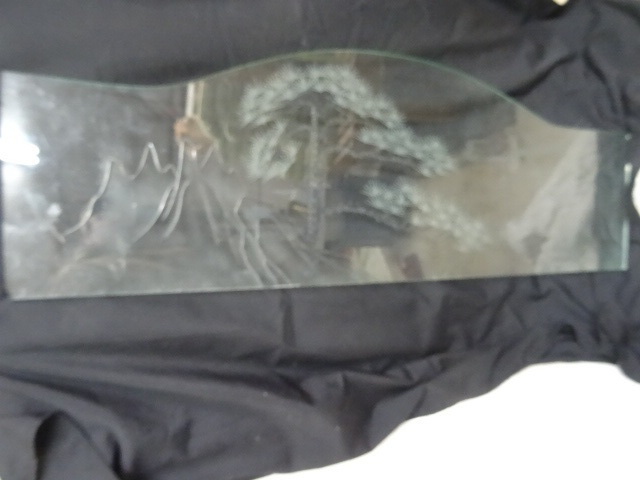 Etched glass designed to go on the ...