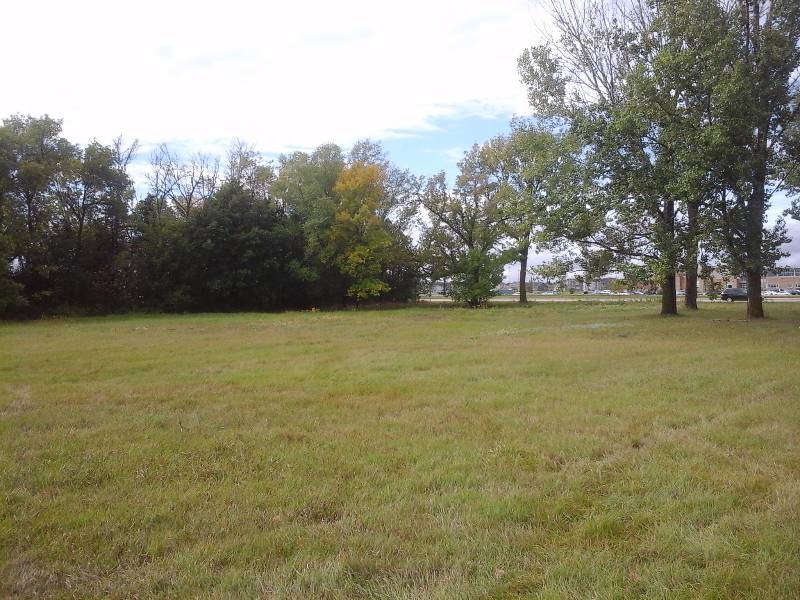 Logging Rights for Trees on Property