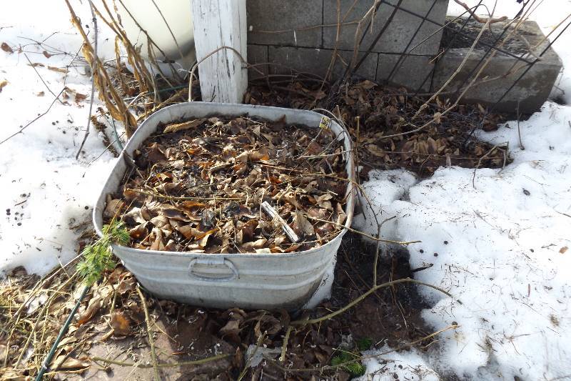lot 203 image: Outdoor Planters