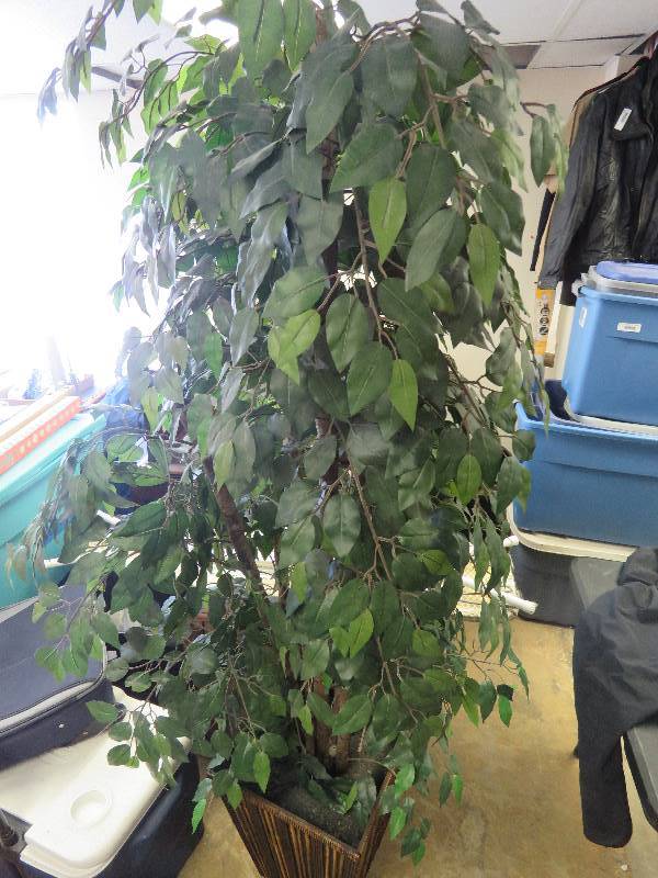 lot 567 image: Artificial Tree