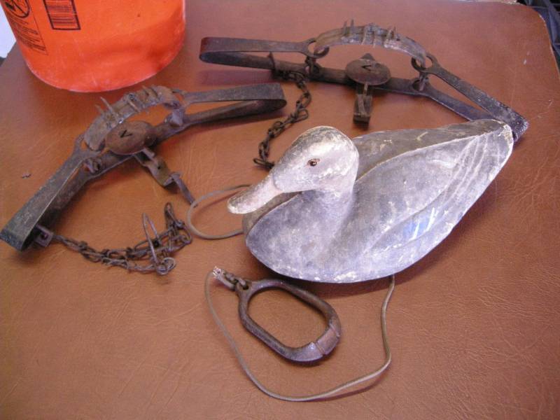 Old Traps & Decoy