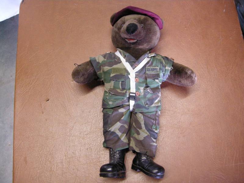 Bear Force of America Army Bear