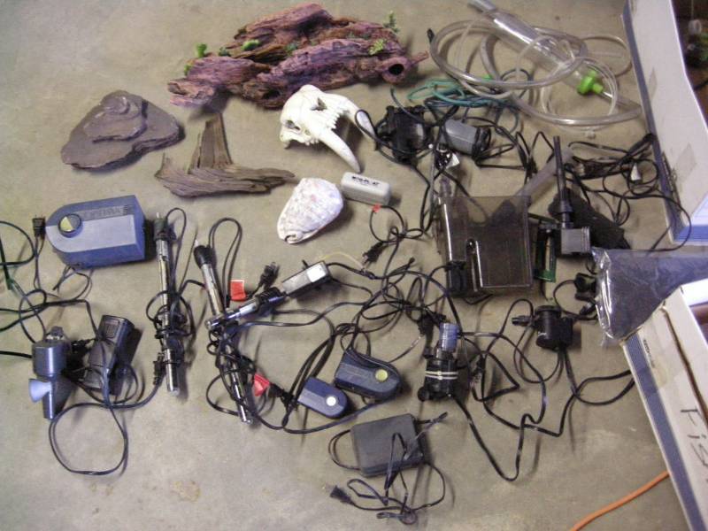 Large Aquarium Lot