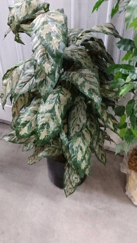 Lot of Fake PlantsTrees