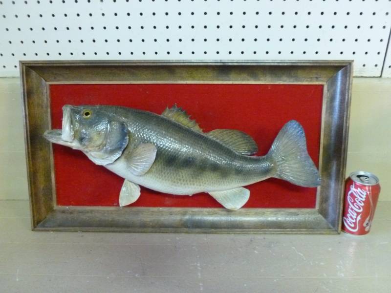 Bass Mount