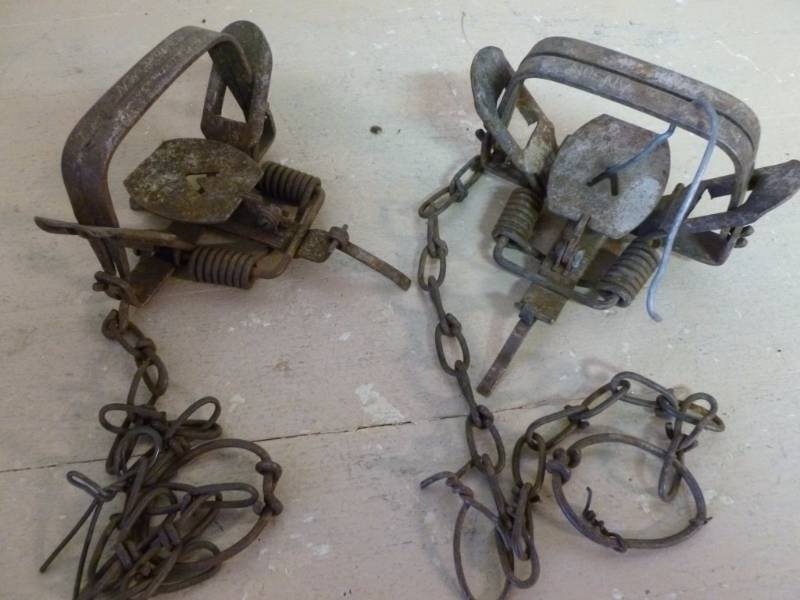 Vintage Traps