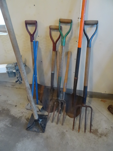 lot 56 image: Potato forks. Shovels. Tree pruner....