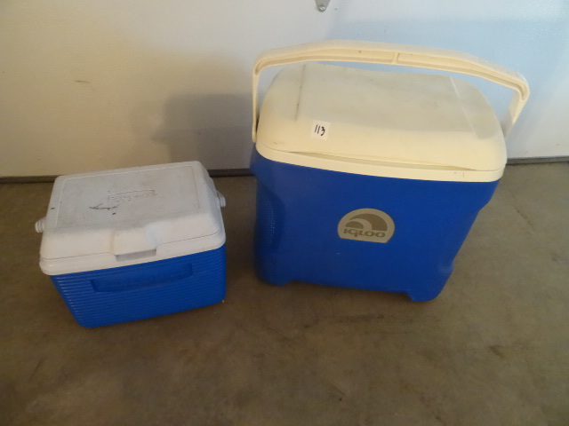 lot 113 image: Igloo carrying cooler and Rubbermai...