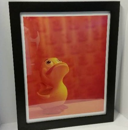 lot 248 image: Happy Little Duckie Framed Art Print by Steven N Meyers