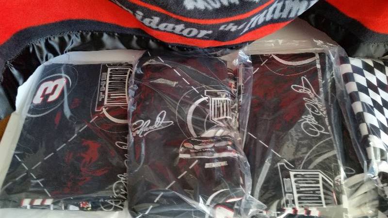 lot 256 image: #3 Dale Earnhardt The Intimidator Microfiber Blanket and Dale Earnhardt Pattern Fabric - See Pictures and Decription