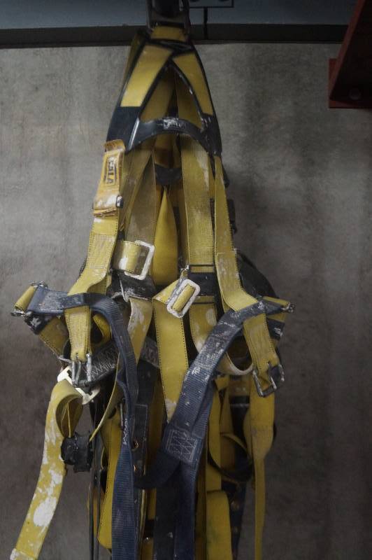 lot 50 image: Safety Harnesses
