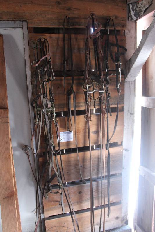 lot 35 image: Horse Tack Gear